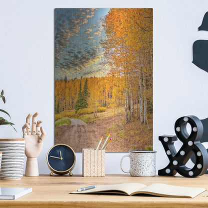 Luxe Metal Art 'Jackson Hole' by Mark A Paulda, Metal Wall Art,12x16