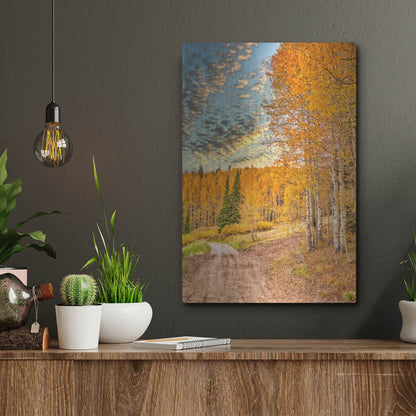 Luxe Metal Art 'Jackson Hole' by Mark A Paulda, Metal Wall Art,12x16