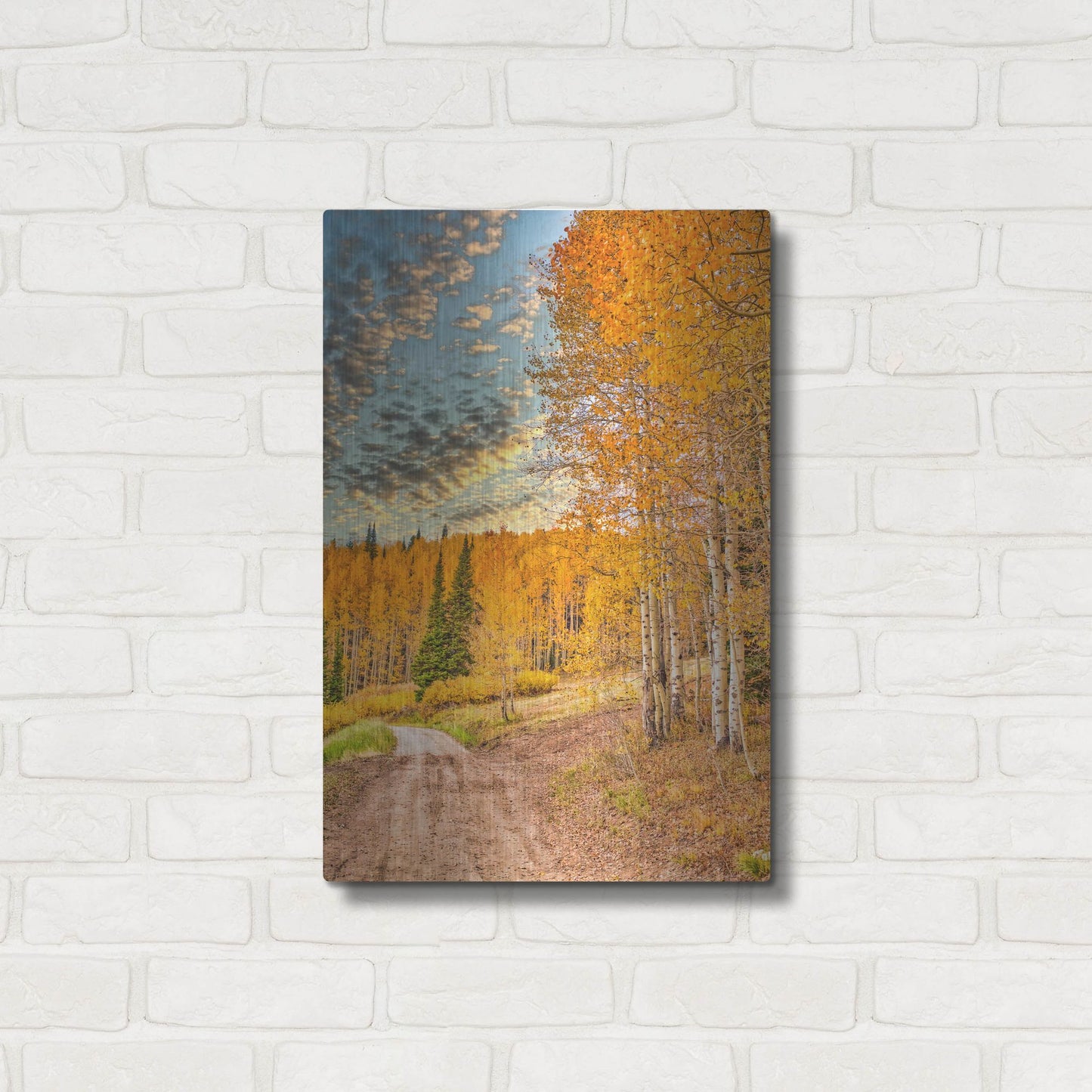 Luxe Metal Art 'Jackson Hole' by Mark A Paulda, Metal Wall Art,16x24