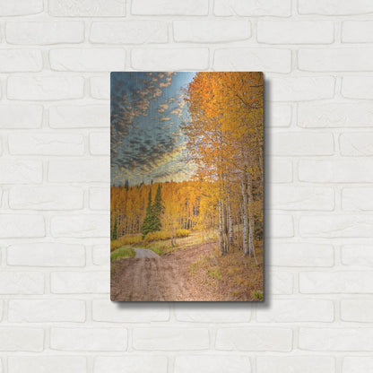 Luxe Metal Art 'Jackson Hole' by Mark A Paulda, Metal Wall Art,16x24
