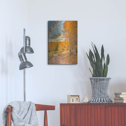 Luxe Metal Art 'Jackson Hole' by Mark A Paulda, Metal Wall Art,16x24