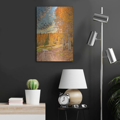 Luxe Metal Art 'Jackson Hole' by Mark A Paulda, Metal Wall Art,16x24