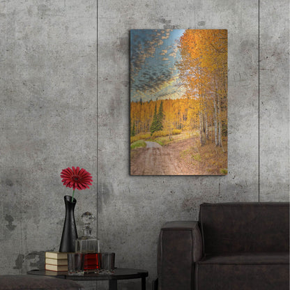Luxe Metal Art 'Jackson Hole' by Mark A Paulda, Metal Wall Art,24x36