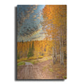 Luxe Metal Art 'Jackson Hole' by Mark A Paulda, Metal Wall Art