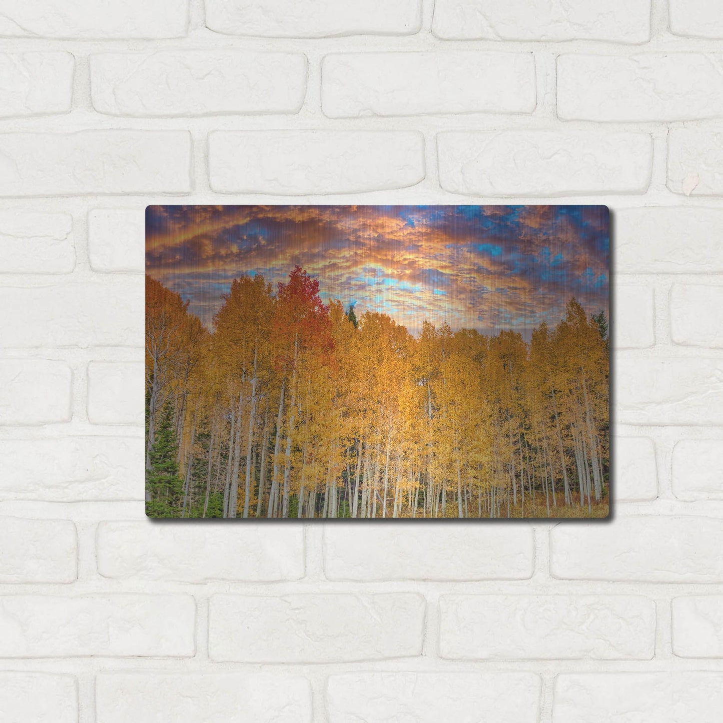 Luxe Metal Art 'Wyoming Autumn Aspens' by Mark A Paulda, Metal Wall Art,16x12