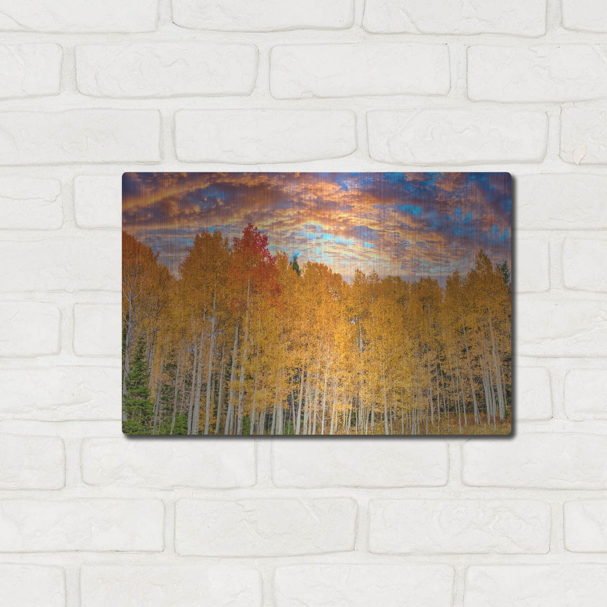 Luxe Metal Art 'Wyoming Autumn Aspens' by Mark A Paulda, Metal Wall Art,16x12