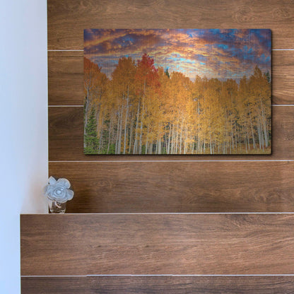 Luxe Metal Art 'Wyoming Autumn Aspens' by Mark A Paulda, Metal Wall Art,16x12