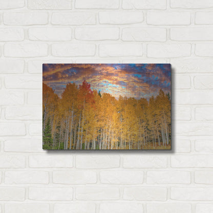 Luxe Metal Art 'Wyoming Autumn Aspens' by Mark A Paulda, Metal Wall Art,24x16