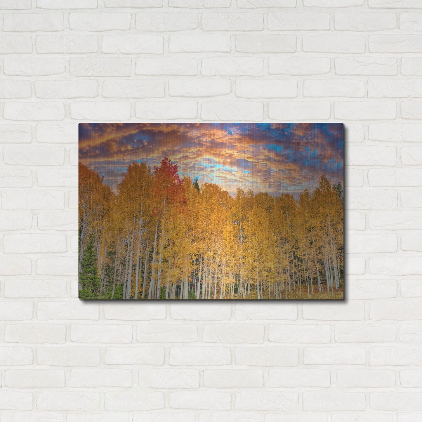 Luxe Metal Art 'Wyoming Autumn Aspens' by Mark A Paulda, Metal Wall Art,36x24