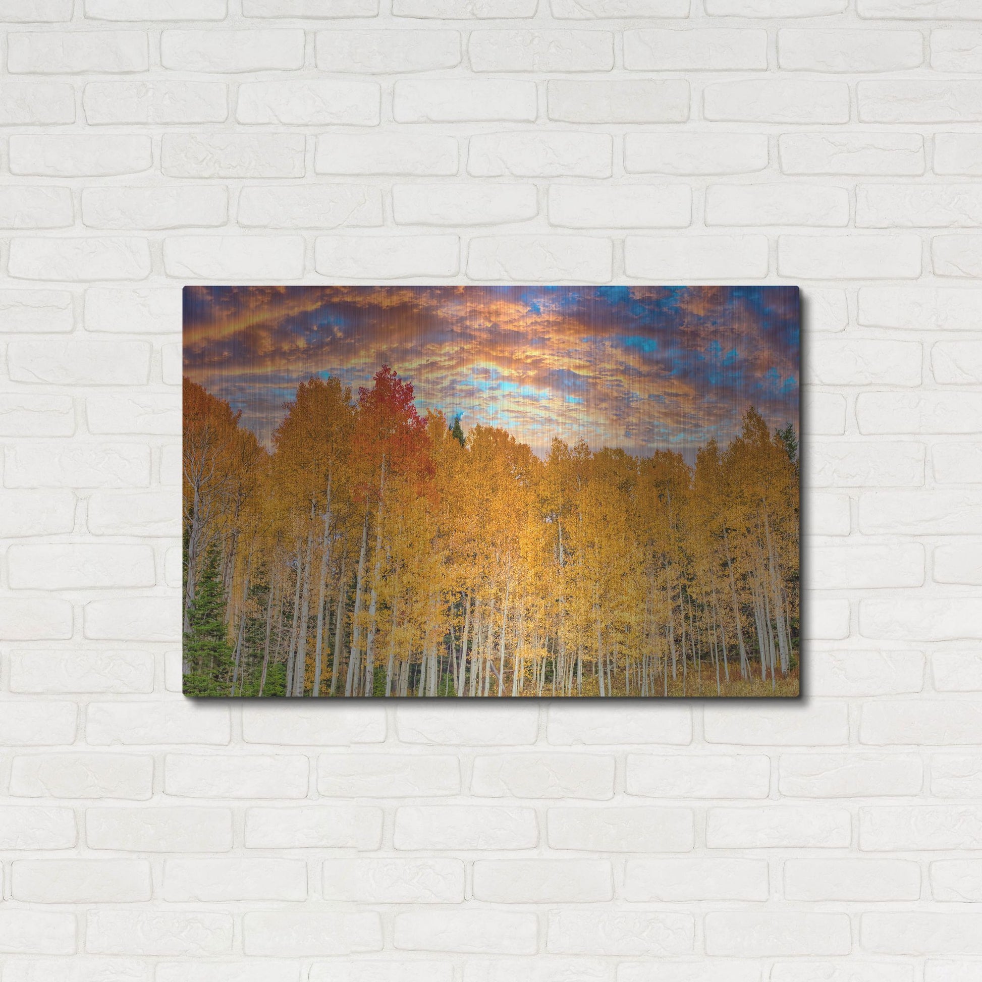 Luxe Metal Art 'Wyoming Autumn Aspens' by Mark A Paulda, Metal Wall Art,36x24
