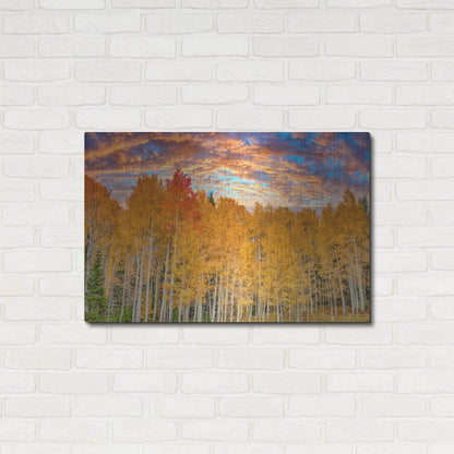 Luxe Metal Art 'Wyoming Autumn Aspens' by Mark A Paulda, Metal Wall Art,36x24