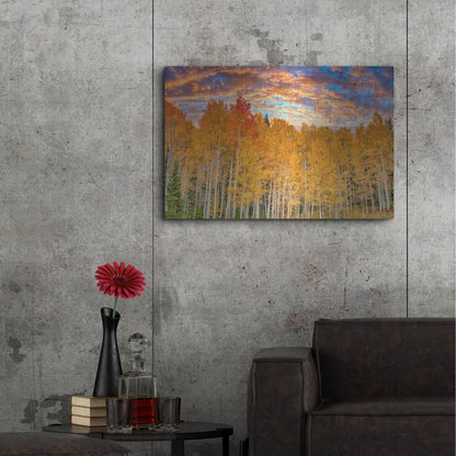 Luxe Metal Art 'Wyoming Autumn Aspens' by Mark A Paulda, Metal Wall Art,36x24