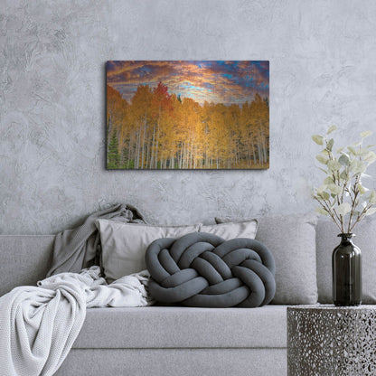Luxe Metal Art 'Wyoming Autumn Aspens' by Mark A Paulda, Metal Wall Art,36x24