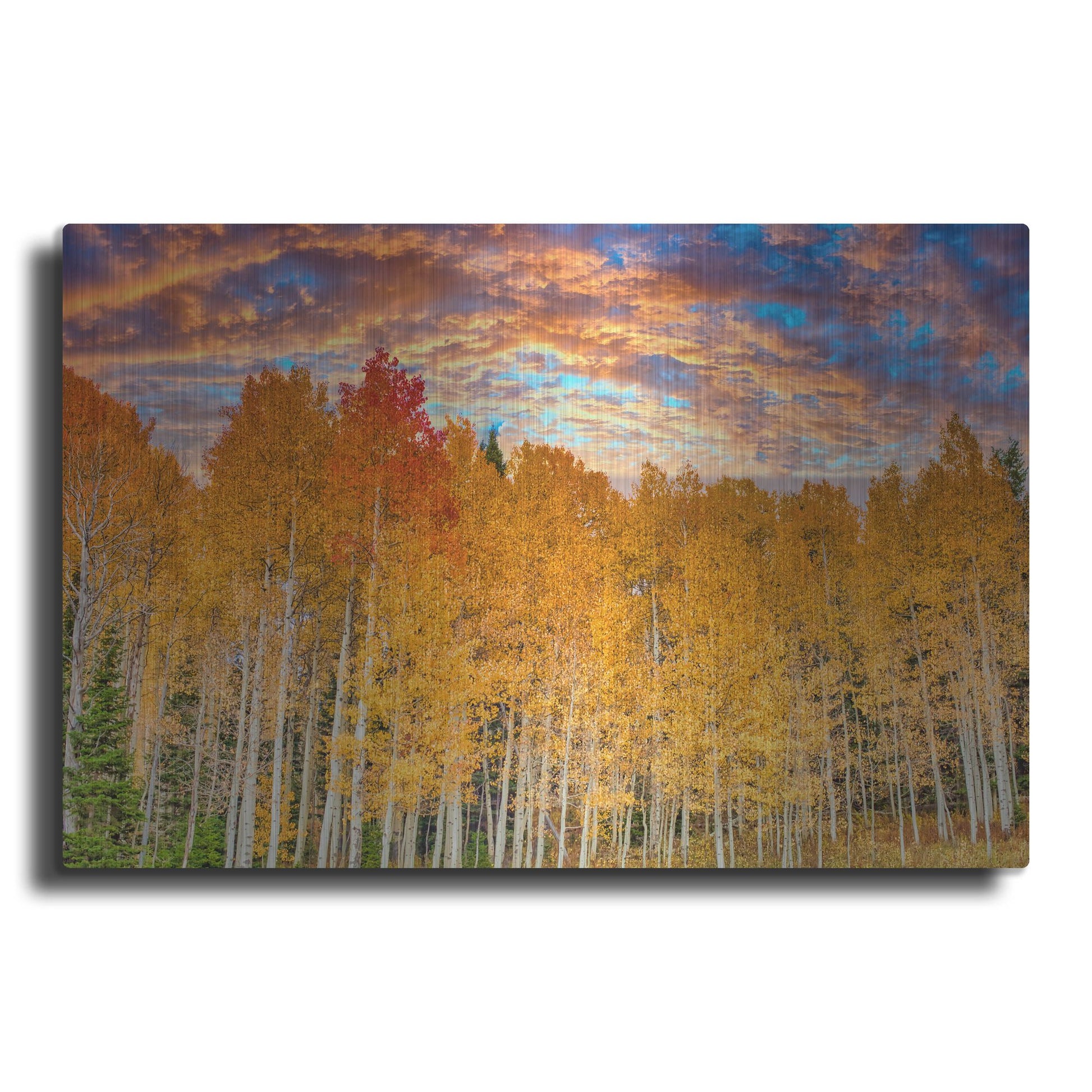 Luxe Metal Art 'Wyoming Autumn Aspens' by Mark A Paulda, Metal Wall Art