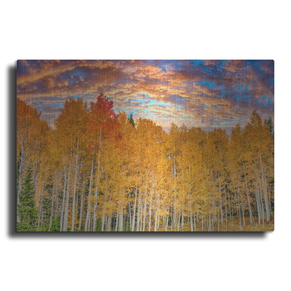 Luxe Metal Art 'Wyoming Autumn Aspens' by Mark A Paulda, Metal Wall Art