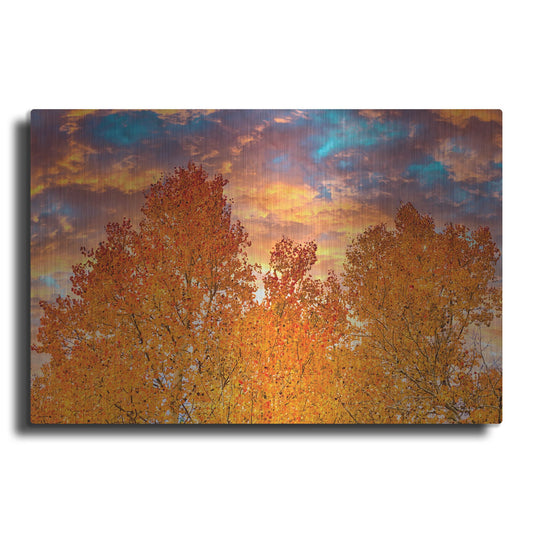 Luxe Metal Art 'Wyoming Autumn' by Mark A Paulda, Metal Wall Art