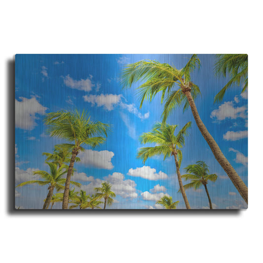 Luxe Metal Art 'Aruba Sunny Palms' by Mark A Paulda, Metal Wall Art