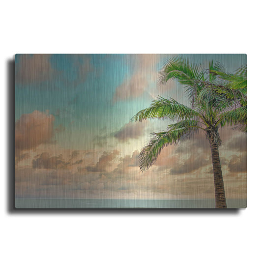 Luxe Metal Art 'Colombia Palm Sunset' by Mark A Paulda, Metal Wall Art