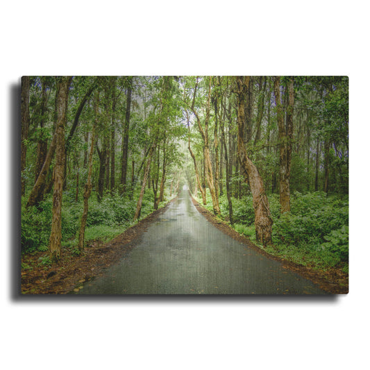 Luxe Metal Art 'Tropical Mauritius Road' by Mark A Paulda, Metal Wall Art