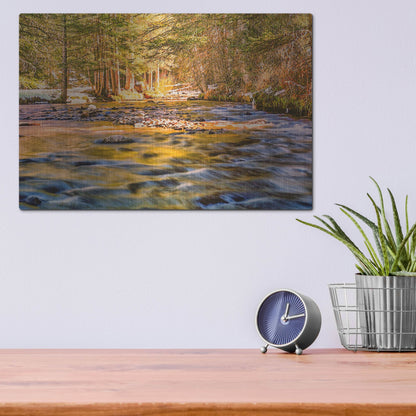 Luxe Metal Art 'Golden Hour River Reflection' by Mark A Paulda, Metal Wall Art,16x12