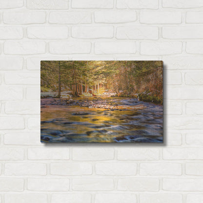 Luxe Metal Art 'Golden Hour River Reflection' by Mark A Paulda, Metal Wall Art,24x16