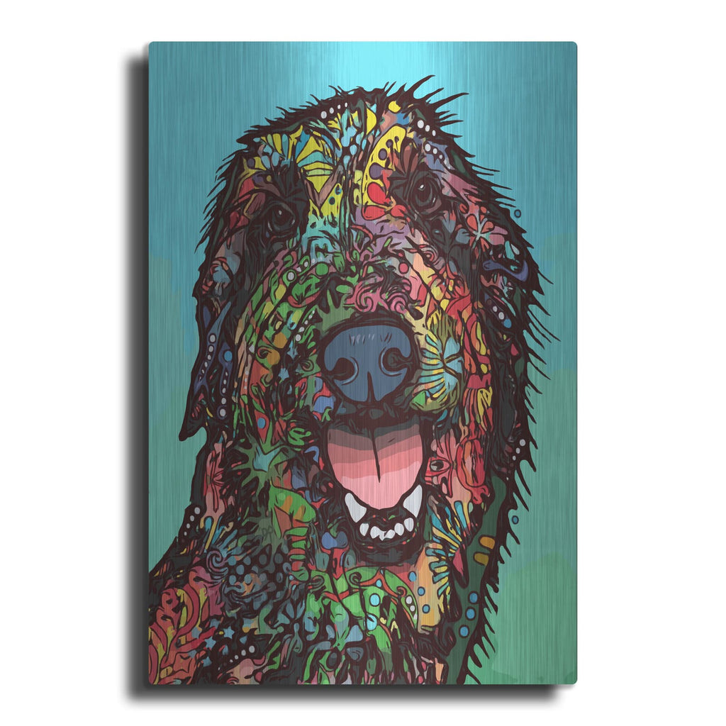 'Funny Feeling' by Dean Russo – Metal Wall Art