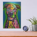 'Pitbull Green Glow' by Dean Russo – Metal Wall Art, 12x16 room view