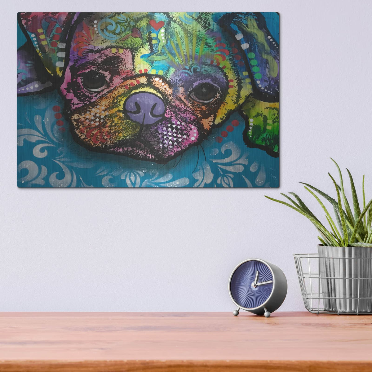 'Good Boy Pug' by Dean Russo – Metal Wall Art, 16x12 room view
