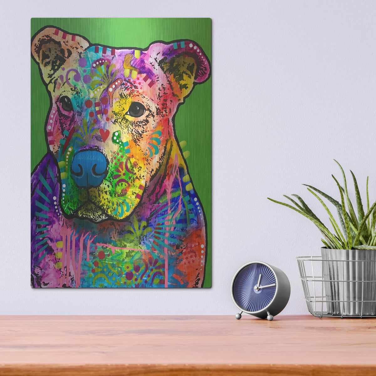 'Blue Nose Pitbull' by Dean Russo – Metal Wall Art, 12x16 room view