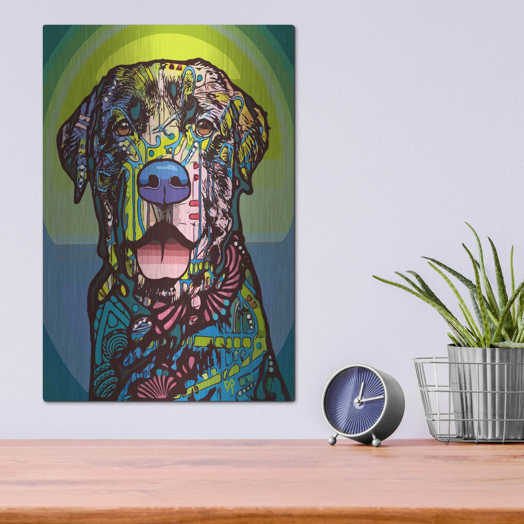 'Indelible Lab' by Dean Russo – Metal Wall Art, 12x16 room view