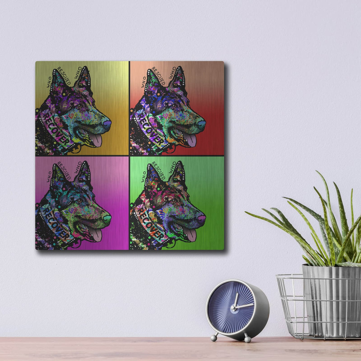 'Who Rescued Who 4X' by Dean Russo – Metal Wall Art, 12x12 room view