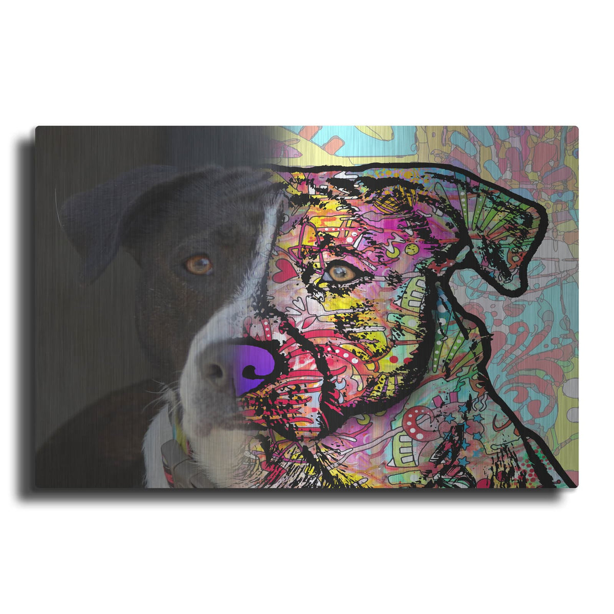 'Christine Dewey_Lulu' by Dean Russo – Metal Wall Art