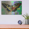 'Exposed Butterfly' by Dean Russo – Metal Wall Art, 16x12 room view