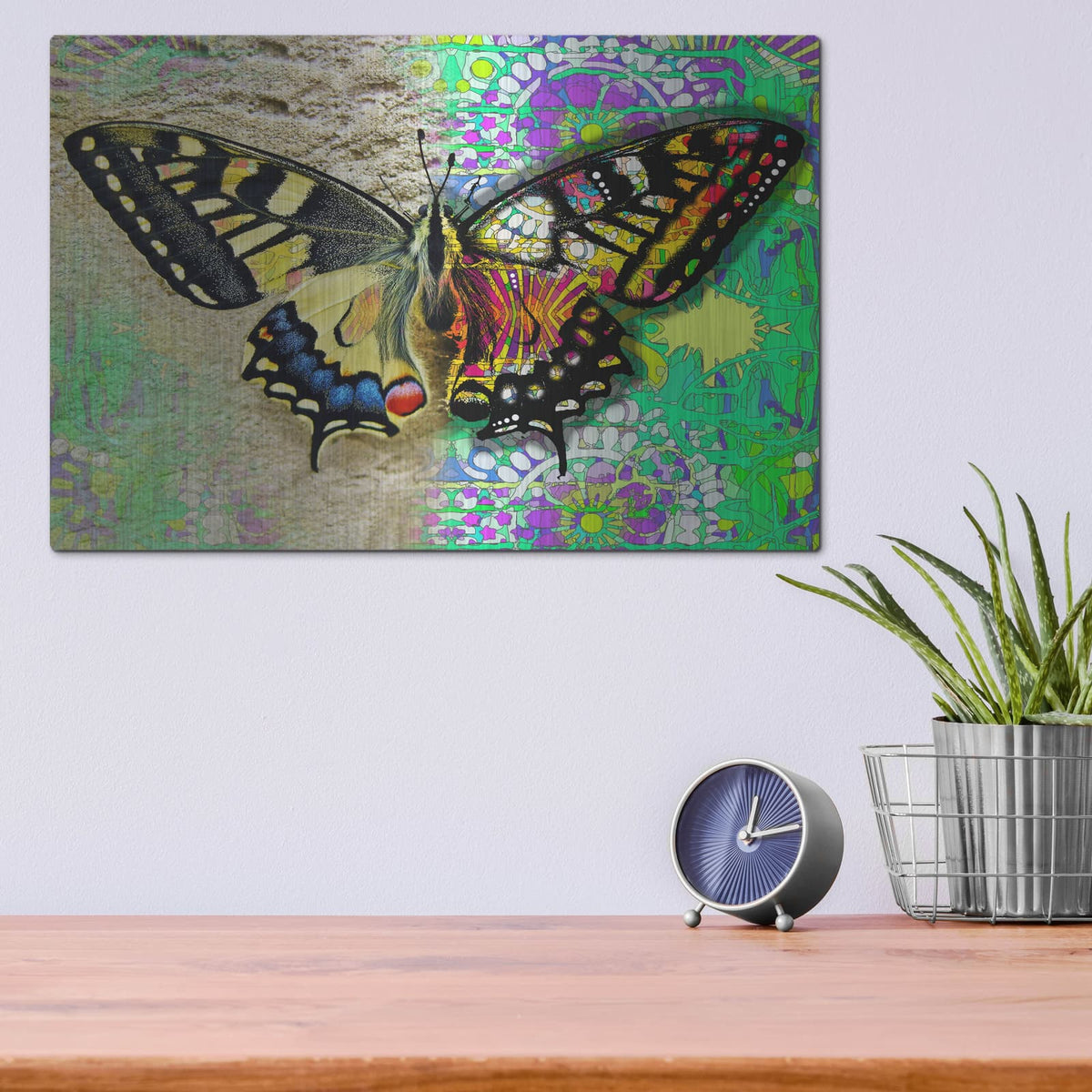 'Exposed Butterfly' by Dean Russo – Metal Wall Art, 16x12 room view