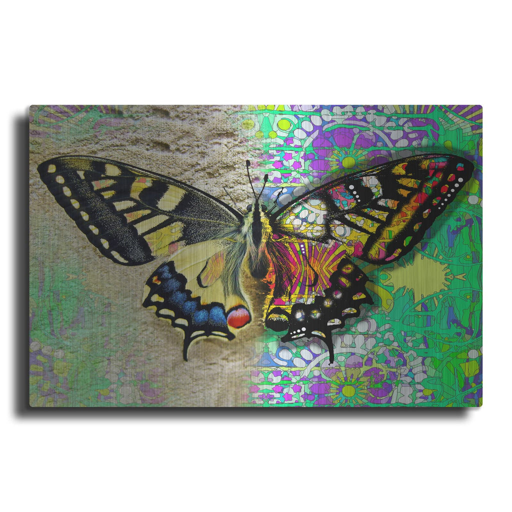 'Exposed Butterfly' by Dean Russo – Metal Wall Art