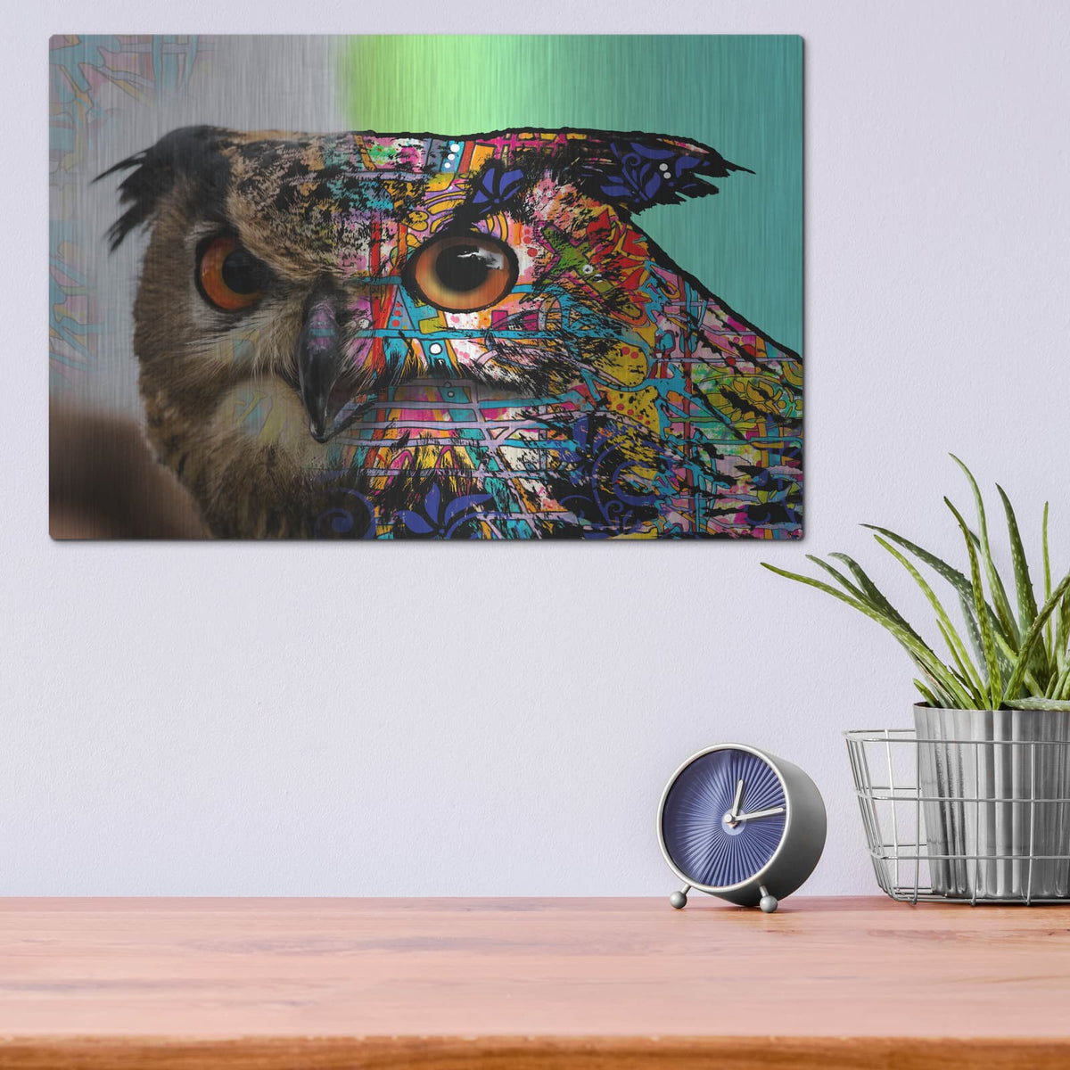 'Exposed Owl' by Dean Russo – Metal Wall Art, 16x12 room view