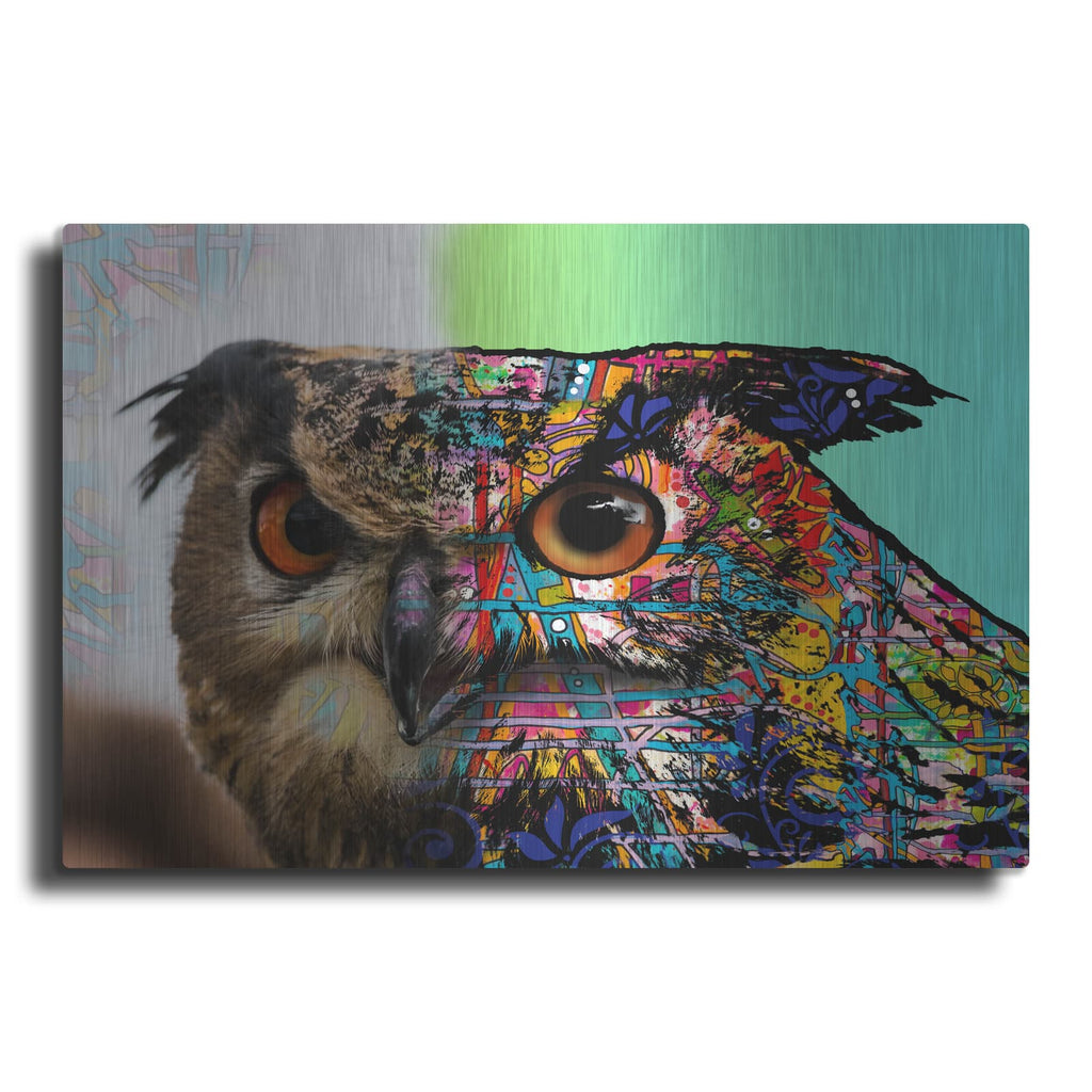 'Exposed Owl' by Dean Russo – Metal Wall Art