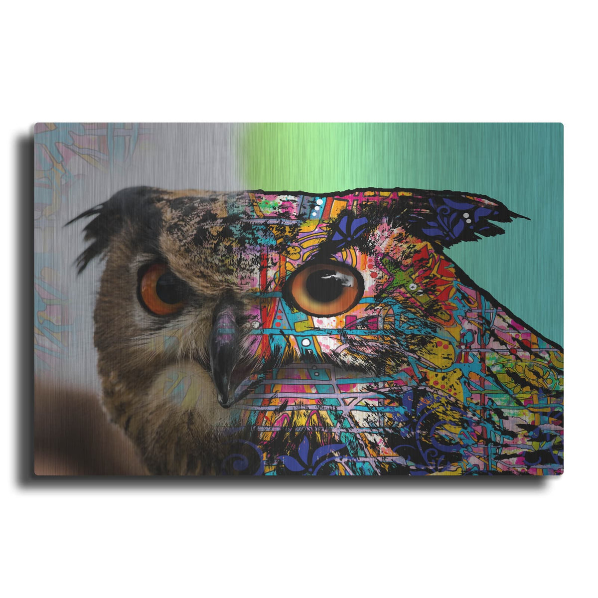 'Exposed Owl' by Dean Russo – Metal Wall Art