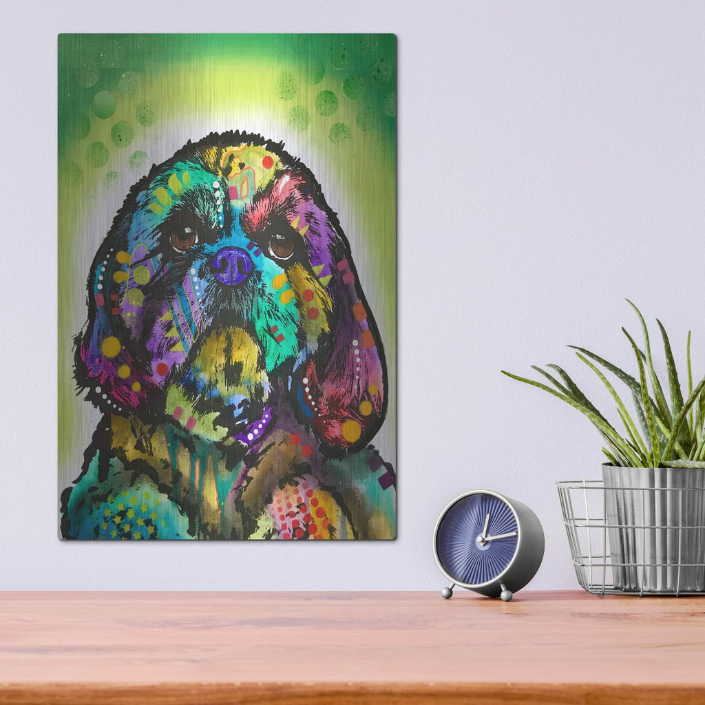 'Kinda Shih Tzu' by Dean Russo – Metal Wall Art, 12x16 room view