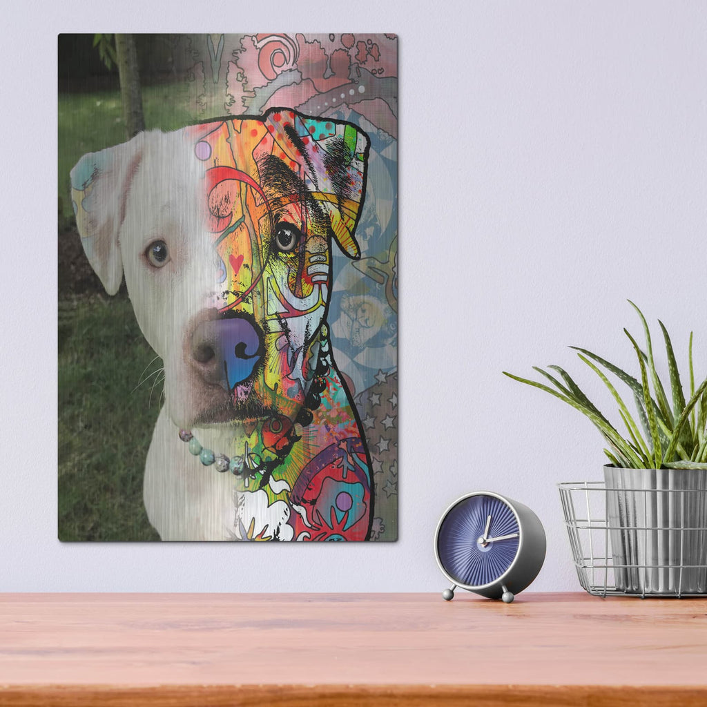 'Lorisa Vellone' by Dean Russo – Metal Wall Art, 12x16 room view
