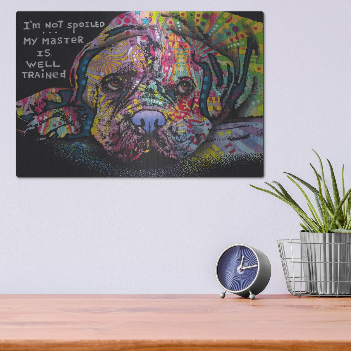 'Not Spoiled' by Dean Russo – Metal Wall Art, 16x12 room view