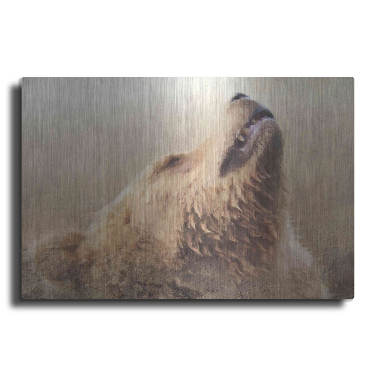 'Big Bear 1' by Karen Smith – Metal Wall Art
