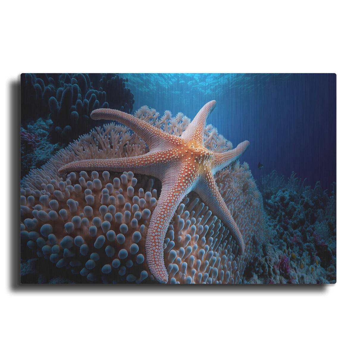 'Coral Starfish' by Luxe Metal Portfolio – Metal Wall Art