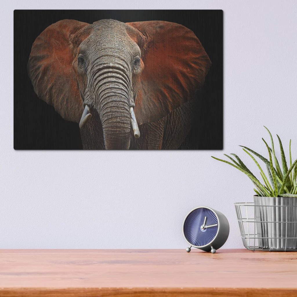 'Fire Elephant' by Luxe Metal Portfolio – Metal Wall Art, 16x12 room view