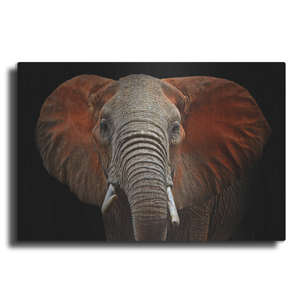 'Fire Elephant' by Luxe Metal Portfolio – Metal Wall Art