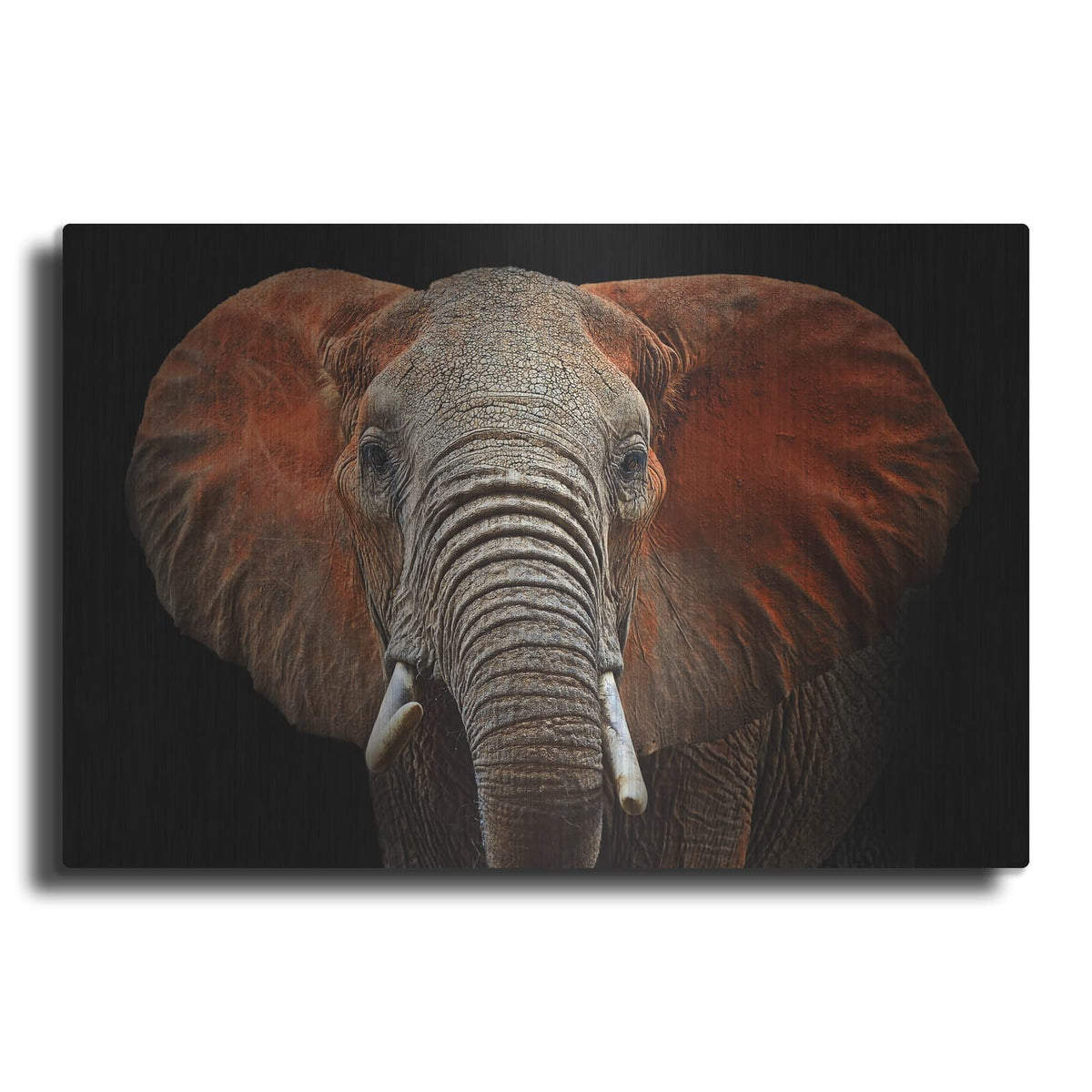 'Fire Elephant' by Luxe Metal Portfolio – Metal Wall Art