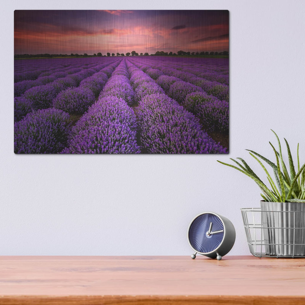 'Lavender Fields' by Luxe Metal Portfolio – Metal Wall Art, 16x12 room view