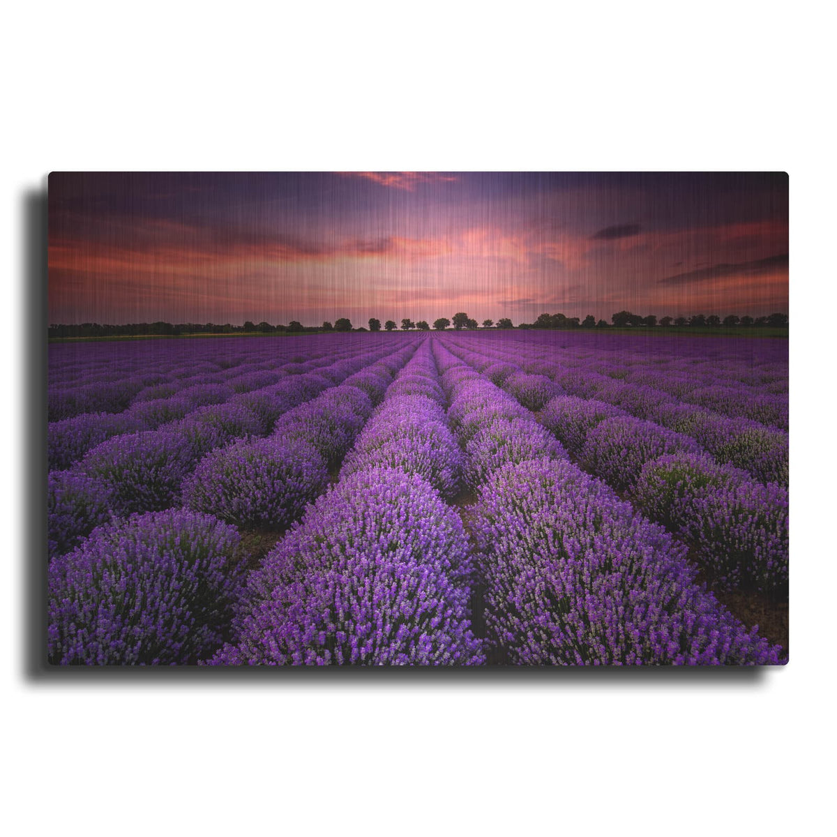 'Lavender Fields' by Luxe Metal Portfolio – Metal Wall Art