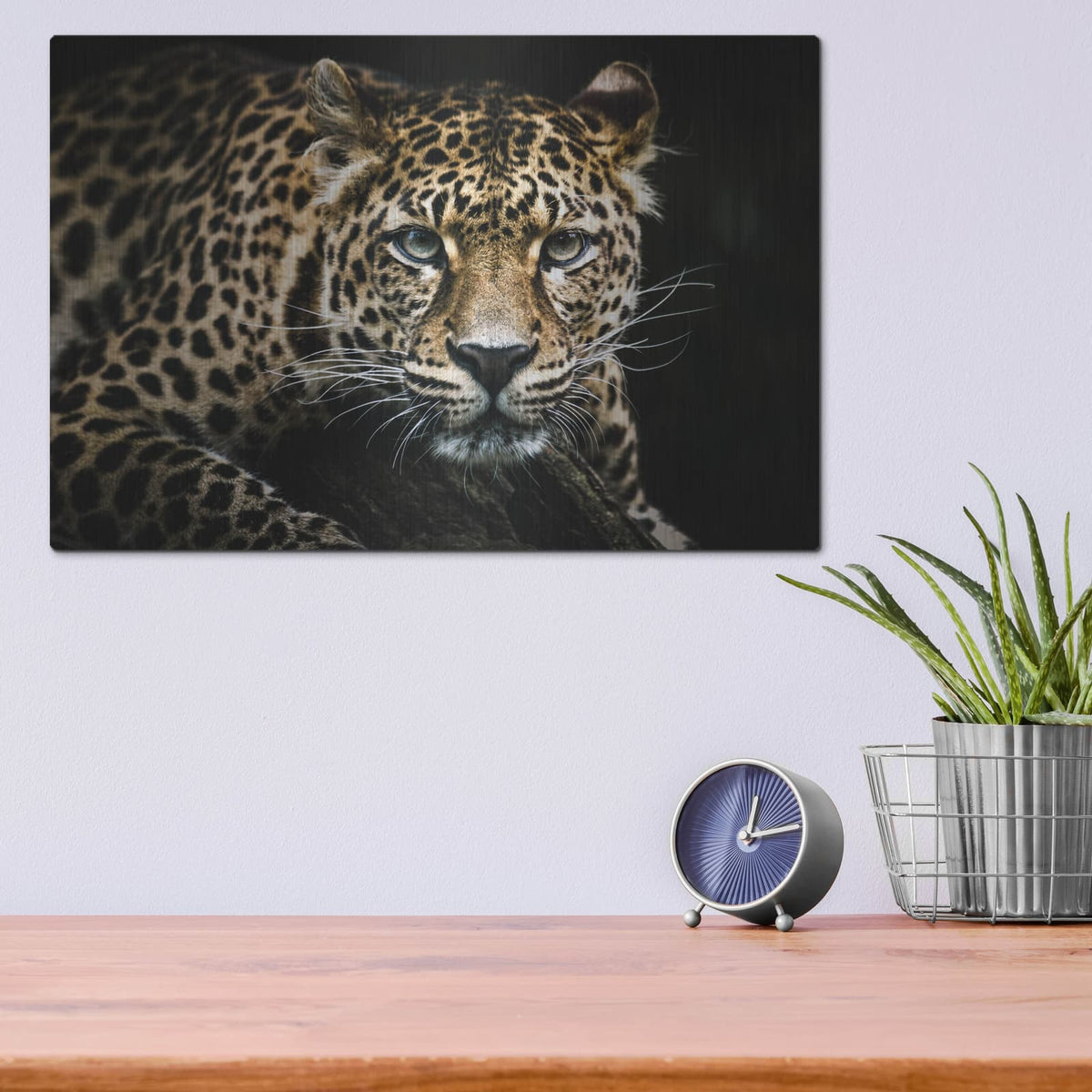 'Leopard on the Hunt' by Luxe Metal Portfolio – Metal Wall Art, 16x12 room view