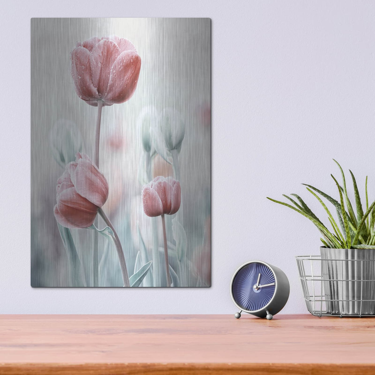 'Pink and White Tulips' by Luxe Metal Portfolio – Metal Wall Art, 12x16 room view